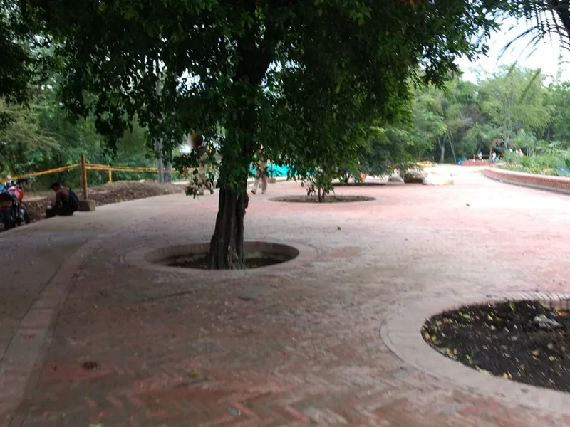 Espacio público y urbanismo — Senderos y arborización